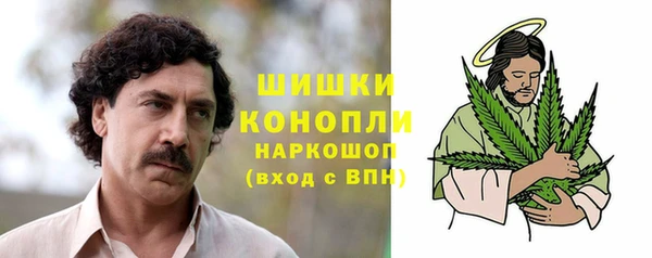 PSILOCYBIN Балабаново
