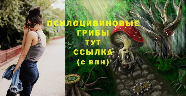 PSILOCYBIN Балабаново
