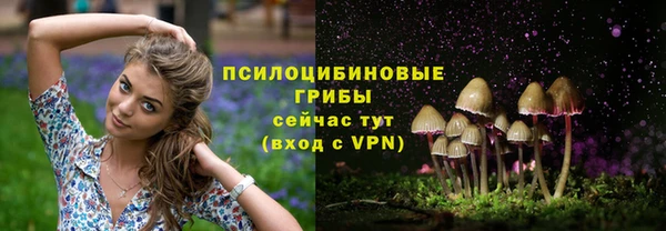 PSILOCYBIN Балабаново