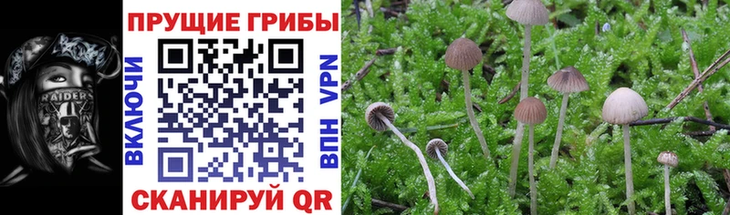 Галлюциногенные грибы мицелий  МЕГА зеркало  Бор  где найти  