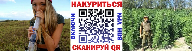 Бошки Шишки план  как найти закладки  Бор 